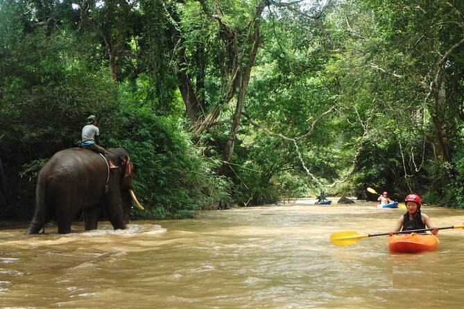 Chiang Mai: Jungle Kayak Adventure with Rapids & Elephants - Price and value: is $81.24 a good deal for a full river day?