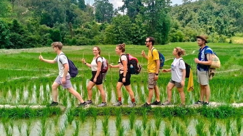 Chiang Mai: Jungle Trek, Elephants care & Bamboo Rafting - Getting out of Chiang Mai: the early van rhythm