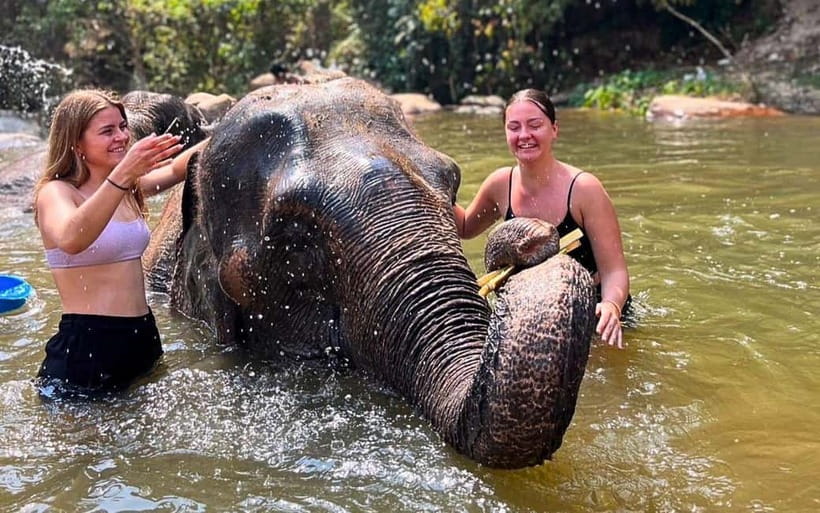 Chiang Mai: Jungle Trek, Elephants care & Bamboo Rafting - Bamboo rafting on a jungle river: calm fun with a weather catch