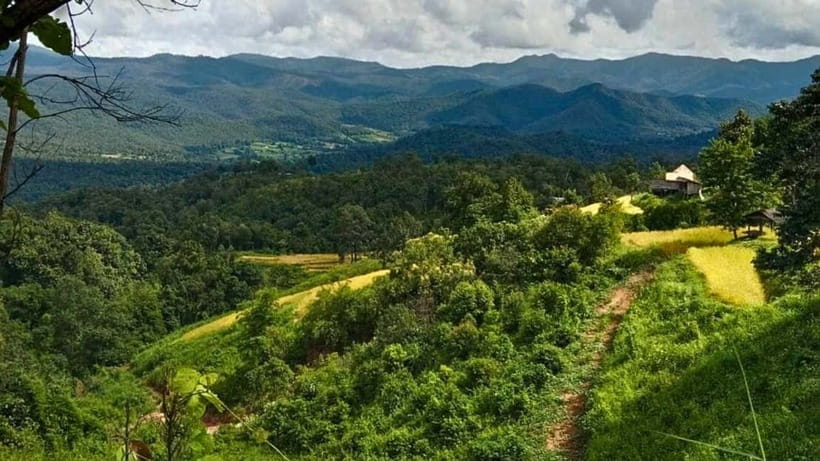 Chiang Mai: Jungle Trek, Elephants care & Bamboo Rafting - The elephant care question: confirm before you rely on the name