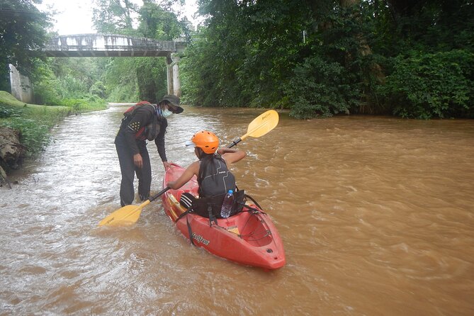 Chiang Mai : Kayak the Jungle Rivers of Chiang Dao Valley! - Cruising creeks, bamboo forests, and flooded waterways