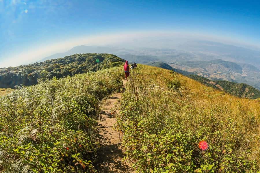 Chiang Mai: Kew Mae Pan Nature Trail & Doi Inthanon Day Trip - Doi Inthanon National Park: Thailand’s Roof and the Forest Story
