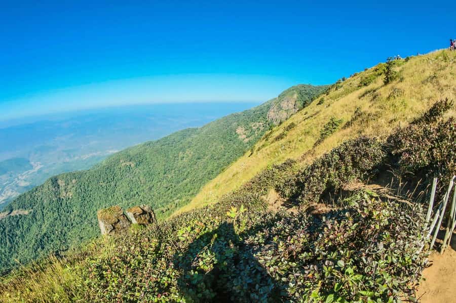 Chiang Mai: Kew Mae Pan Nature Trail & Doi Inthanon Day Trip - Kew Mae Pan Nature Trail: A Two-Hour Forest Walk That Actually Feels Like Nature