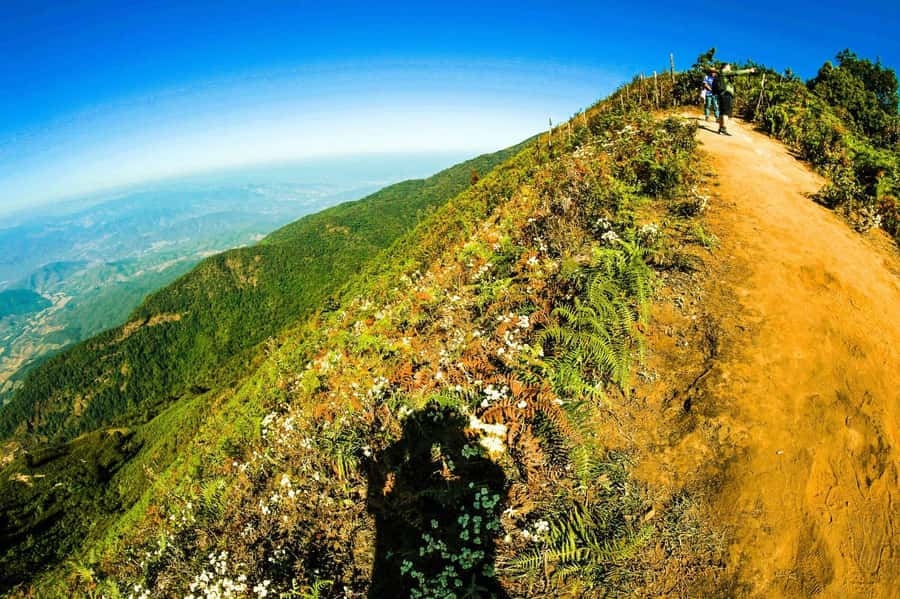 Chiang Mai: Kew Mae Pan Nature Trail & Doi Inthanon Day Trip - The Culture Stops: King’s and Queen’s Pagodas + Market Time