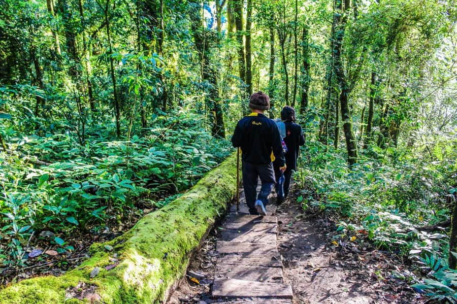 Chiang Mai: Kew Mae Pan Nature Trail & Doi Inthanon Day Trip - Meeting the Karen Hill Tribe: Learning Traditions, Not Just Taking Photos