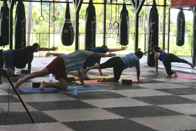 Chiang Mai Muay Thai Boxing Experience - The 5-Hour Flow: Pickup, Training, Lunch, Back Again