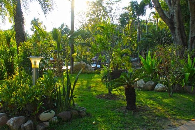Chiang Mai Muay Thai Boxing Experience - The Small Details That Make It Easier Day-Of