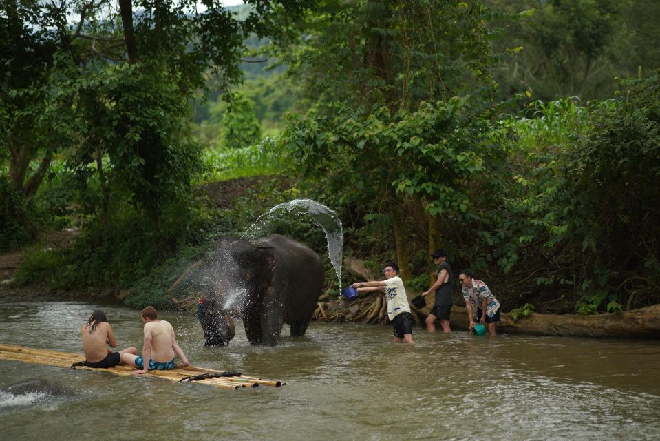 Chiang Mai: National Elephant Care, Rafting, & Ziplines Trip - Chiang Mai to Mae Wang: how the 6-hour day actually flows