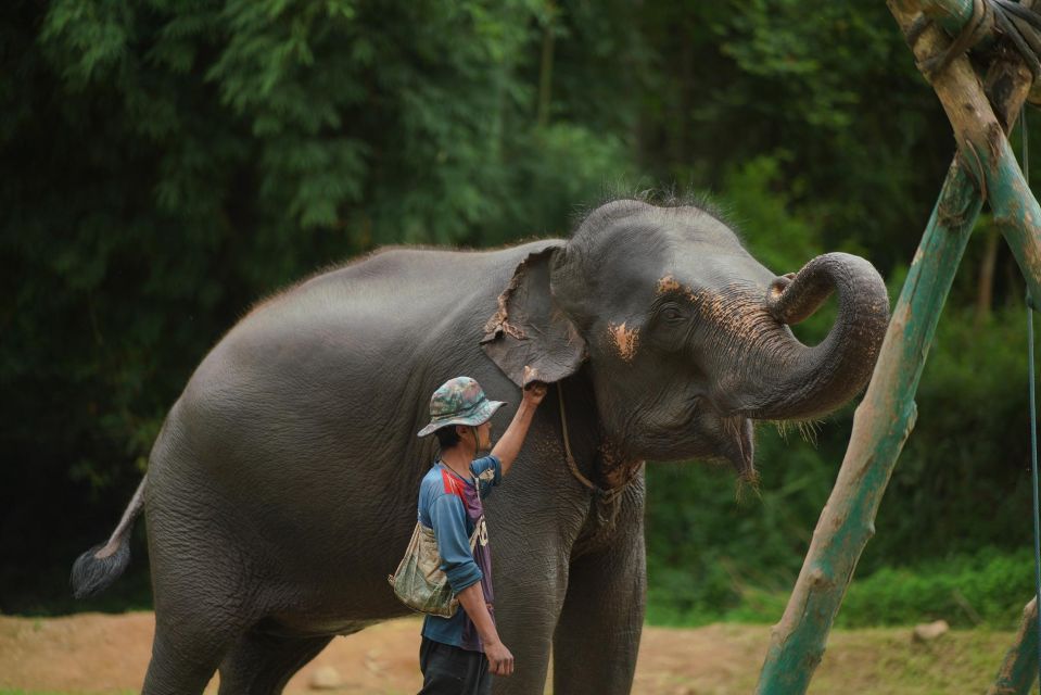 Chiang Mai: National Elephant Care, Rafting, & Ziplines Trip - Bamboo rafting on the Mae Wang River: 45 minutes of easy adventure