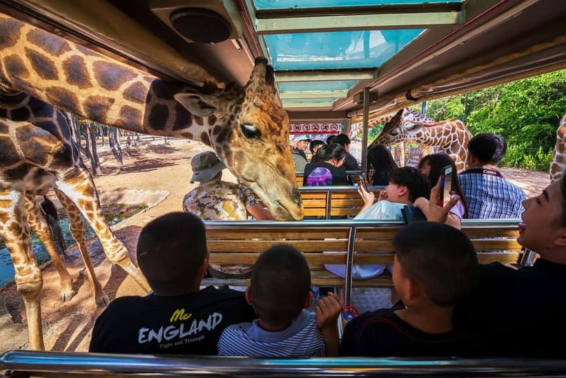 Chiang Mai Night Safari: Entry Ticket with Tram Ride - QR entry and the tram ride route: how it actually feels