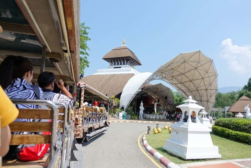 Chiang Mai Night Safari: Entry Ticket with Tram Ride - Savanna and Predator Zones: the tram ride is the main event