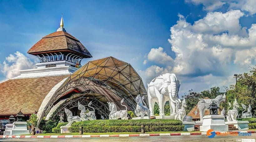 Chiang Mai Night Safari Ticket & Tram Rides Optional Pickup - Duration and pacing: planning a 270-minute evening without rushing