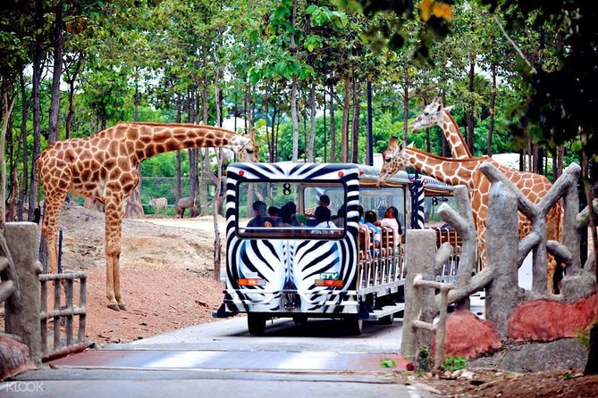 Chiang Mai Night Safari Tour including Transfer (Minimum 2 pax) - Getting there with included transfer (and why it affects your mood)