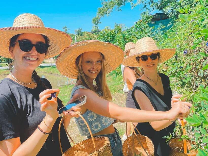Chiang Mai Organic Thai Cooking Experience - Organic Garden Tour: Why Fresh Ingredients Matter