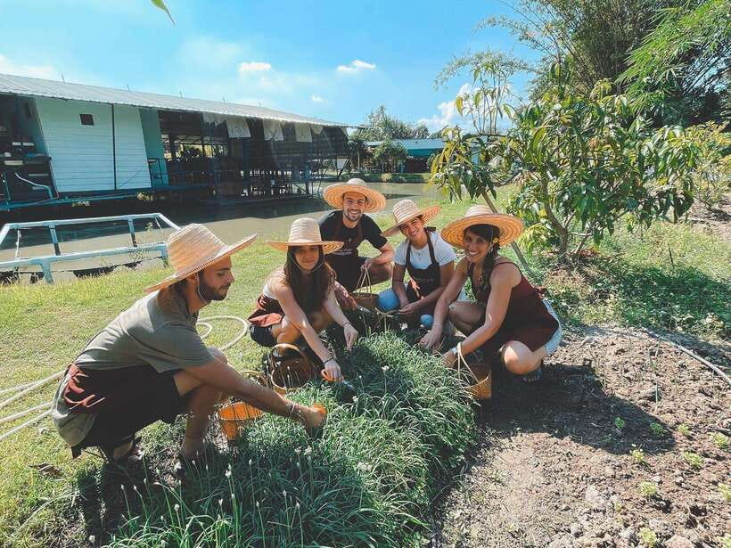 Chiang Mai Organic Thai Cooking Experience - Price and Value for $39 in a Small-Group Format