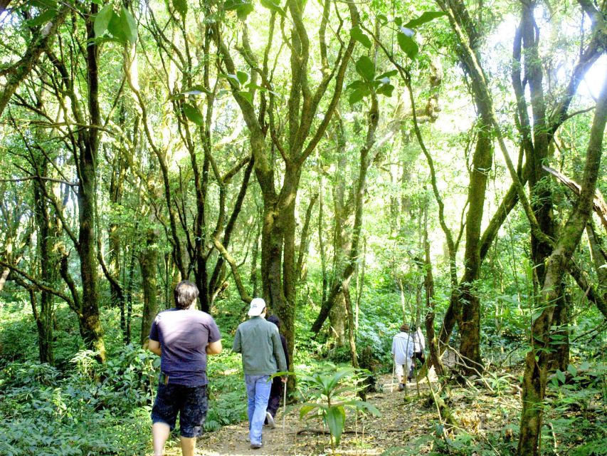 Chiang Mai: Pha Dok Siew Nature Trail & Doi Inthanon Trip - Key things to know before you go