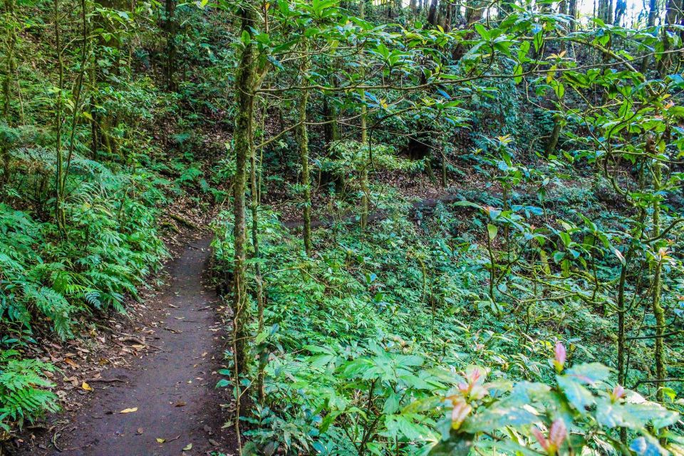 Chiang Mai: Pha Dok Siew Nature Trail & Doi Inthanon Trip - Should You Book This Tour?