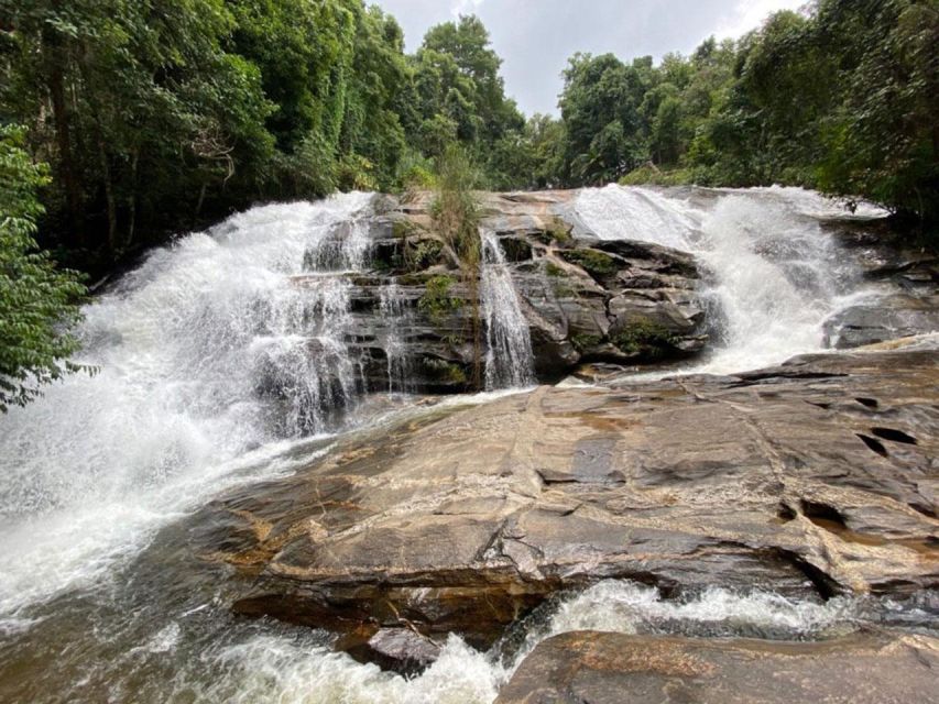Chiang Mai: Pha Dok Siew Nature Trail & Doi Inthanon Trip - Why This Full-Day Chiang Mai Mix Works