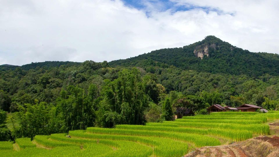 Chiang Mai: Pha Dok Siew Nature Trail & Doi Inthanon Trip - Hmong Tribal Market: Souvenirs, Produce, and Coffee
