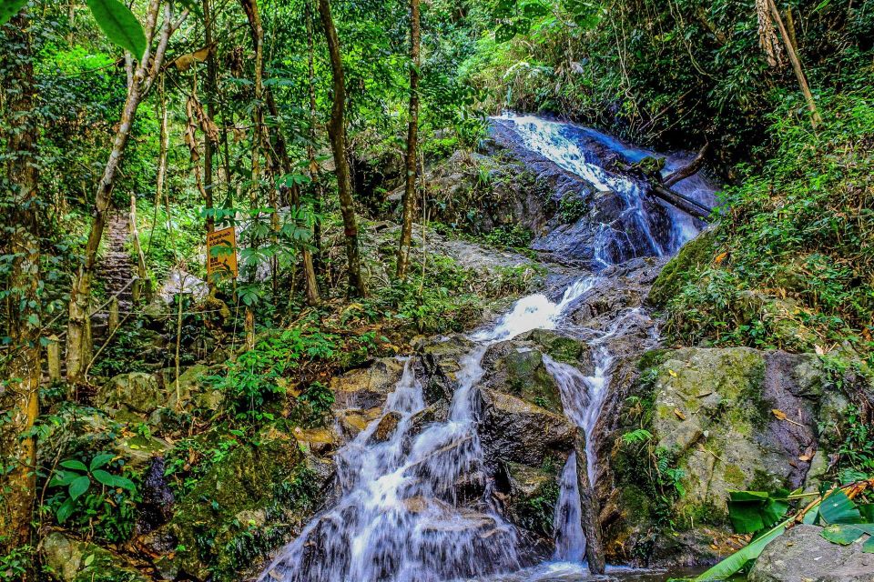 Chiang Mai: Pha Dok Siew Nature Trail & Doi Inthanon Trip - Price and Logistics: Is $43 a Good Deal?