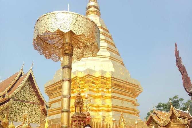 Chiang Mai Private Tour with Tea Plantation, Karen Village, Doi Suthep - A private Chiang Mai countryside day: tea, Karen village, Doi Suthep
