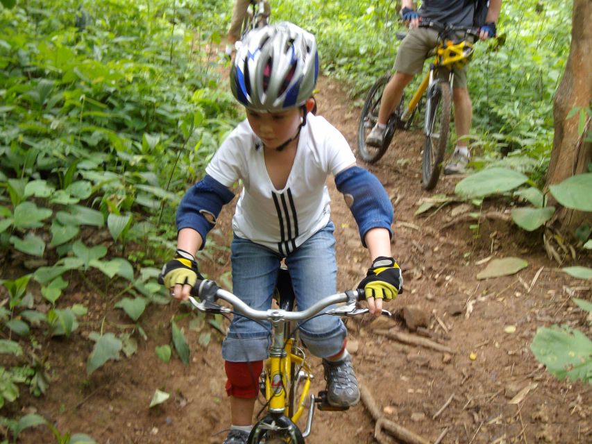 Chiang Mai: Rainforest Guided Mountain Biking Tour - The riding profile: 22 km, about 100 m up, and why it feels manageable
