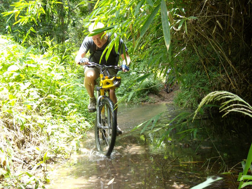 Chiang Mai: Rainforest Guided Mountain Biking Tour - Timing and what the 4-hour experience feels like in the real world