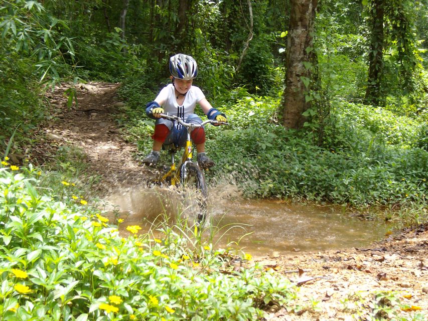 Chiang Mai: Rainforest Guided Mountain Biking Tour - Who this tour suits best (and who might rethink it)