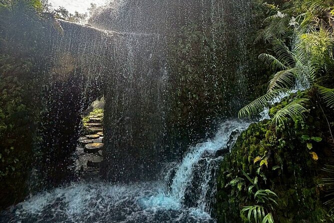 Chiang Mai Sticky Waterfall Dantewada and Banden Temple Tour - Who this tour suits best (and who should think twice)