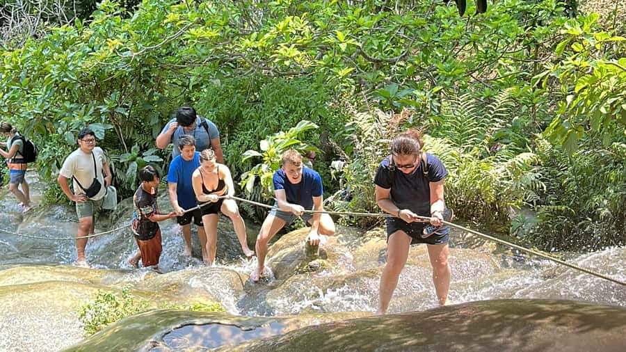 Chiang Mai : Sticky waterfall (Half Day Tour) Hotel Transfer - The Pickup Plan: City Center Hotels and Two Clear Meeting Points