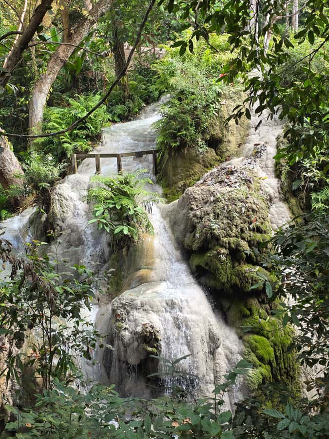 Chiang Mai : Sticky waterfall (Half Day Tour) Hotel Transfer - What’s Included for $19: Value That Adds Up Fast