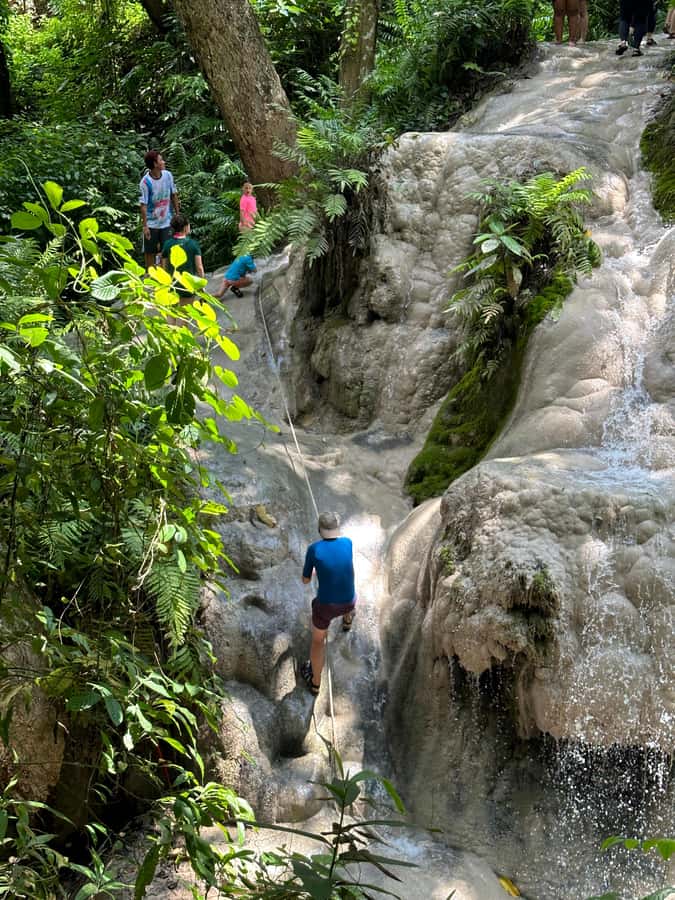 Chiang Mai : Sticky waterfall (Half Day Tour) Hotel Transfer - Should You Book This Sticky Waterfall Half-Day Transfer?