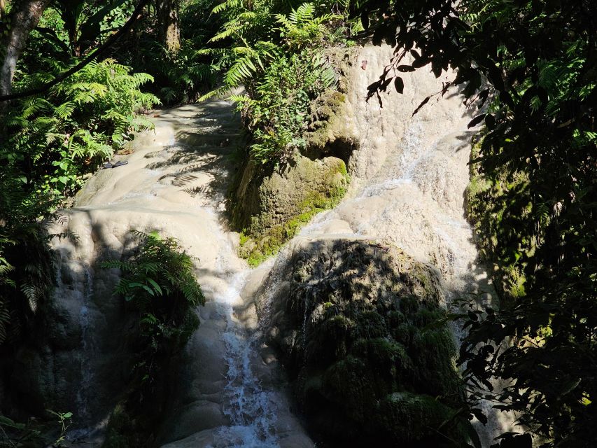 Chiang Mai: Sticky Waterfall Half-Day Tour & Hotel Transfers - Key things to know before you go