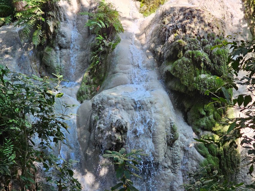 Chiang Mai: Sticky Waterfall Half-Day Tour & Hotel Transfers - Top Views and the Blue-Green Pool: Swim Options and Cooling Off