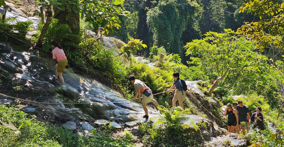 Chiang Mai: Sticky Waterfall Half-Day Tour & Hotel Transfers - Hotel Transfers and Entry Fees: Value Around $30