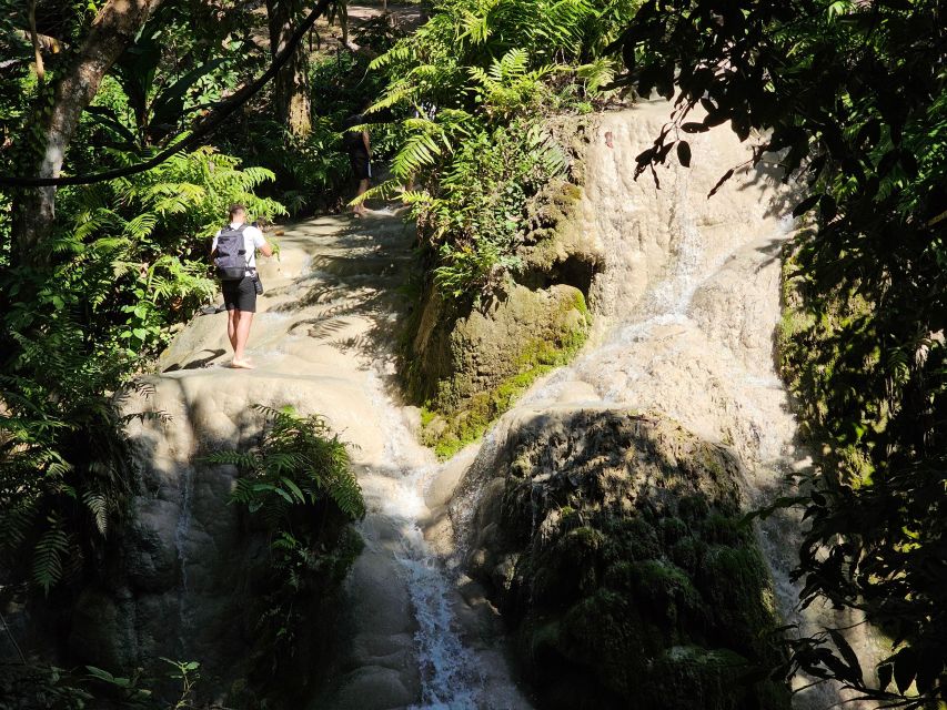 Chiang Mai: Sticky Waterfall Half-Day Tour & Hotel Transfers - Inside Si Lanna National Park: Forest Paths and Bird Spotting