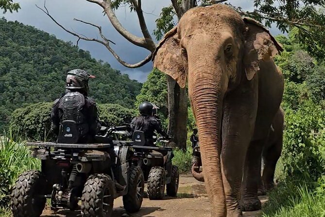 Chiang Mai Sticky Waterfall Tour ATV and Scenic Café - From hotel pickup to Mae Taeng ATV: start strong