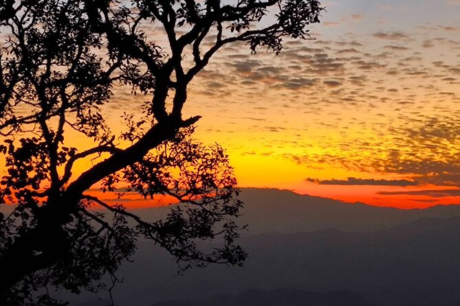 Chiang Mai Sunset Point, Wat Pha Lat, Wat Doi Suthep, Wat Umong - Key highlights to know before you go