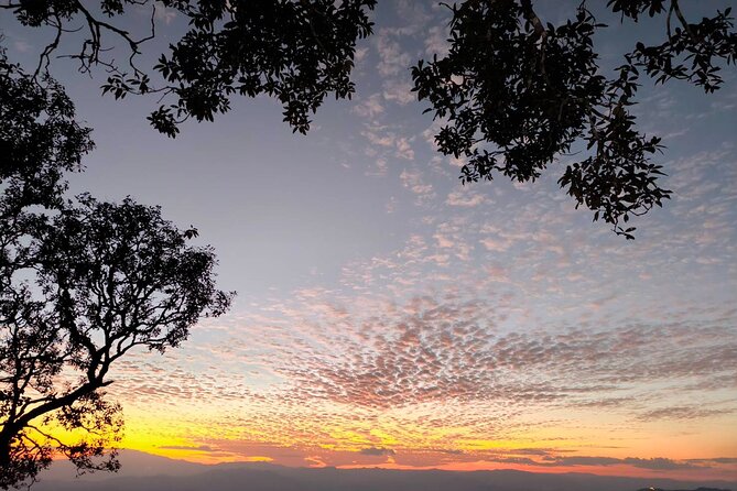 Chiang Mai Sunset Point, Wat Pha Lat, Wat Doi Suthep, Wat Umong - Wat Pha Lat: the quiet jungle temple you actually want
