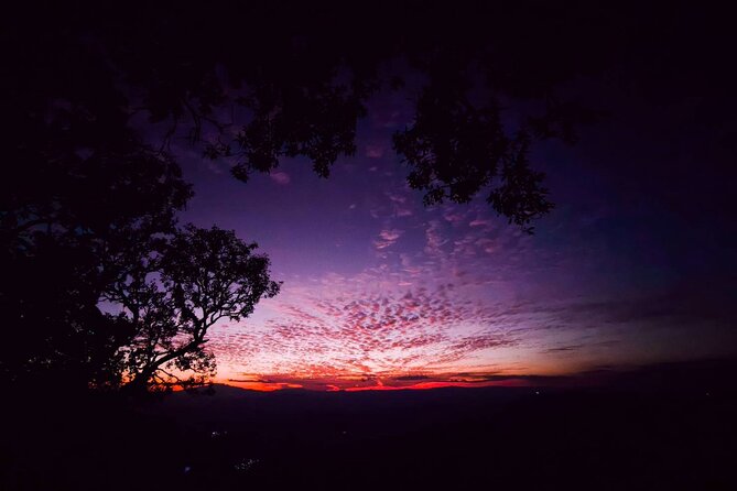 Chiang Mai Sunset Point, Wat Pha Lat, Wat Doi Suthep, Wat Umong - Comfort and practical tips that make the day easier