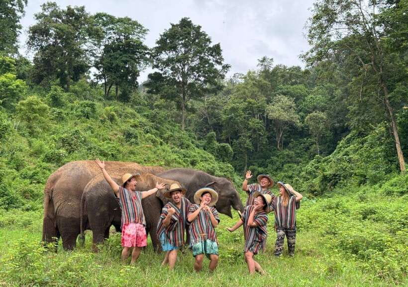 Chiang Mai | TeeTee Elephant Home Elephant Care Half-Day - Key things to know before you go