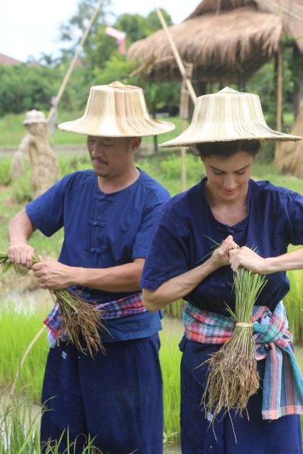 Chiang Mai: Thai Buffalo and Rice Planting Experience - The lunch break: green chicken curry and mango sticky rice