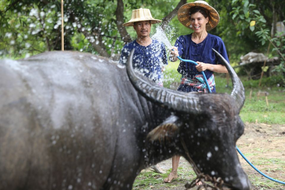 Chiang Mai: Thai Buffalo and Rice Planting Experience - Small group size and bilingual guidance (English and Thai)