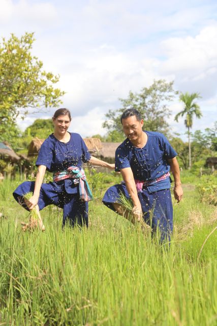 Chiang Mai: Thai Buffalo and Rice Planting Experience - The red taxi transfer and meeting in farm boots