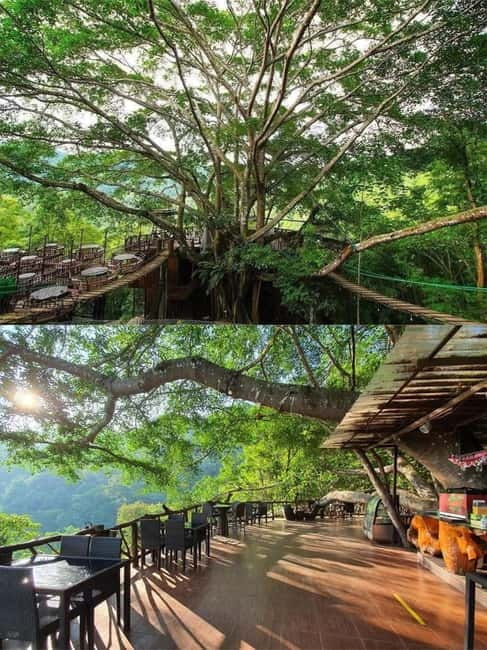 Chiang Mai: The Giant Café & Mae Kampong Village Day Trip - Key things I’d circle on your map