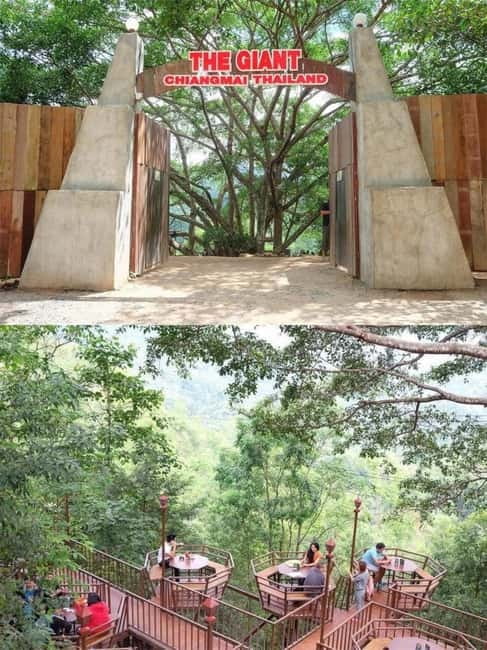 Chiang Mai: The Giant Café & Mae Kampong Village Day Trip - Mae Kampong Waterfall: cool forest air and careful footing