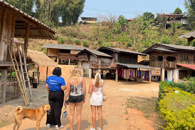 Chiang Mai to Doi Inthanon Full Day Shared Tour - Doi Inthanon, the Roof of Thailand: what a day tour really delivers