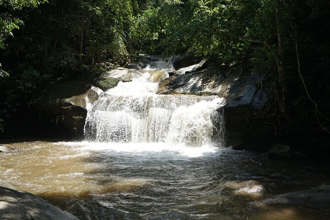 Chiang Mai Trekking Tour :Full day (no rafting) - Key highlights at a glance