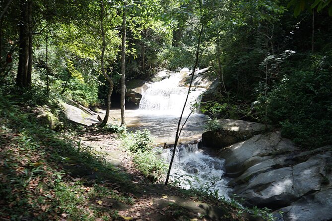 Chiang Mai Trekking Tour :Full day (no rafting) - Elephant Pride Sanctuary: more than feeding, with real context