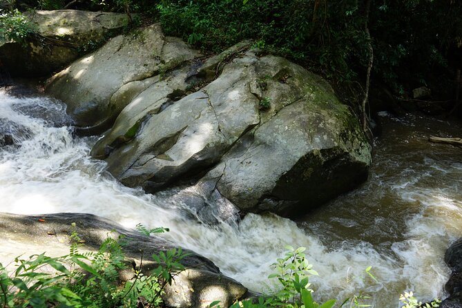 Chiang Mai Trekking Tour :Full day (no rafting) - The market moment: small stop, big flavor payoff
